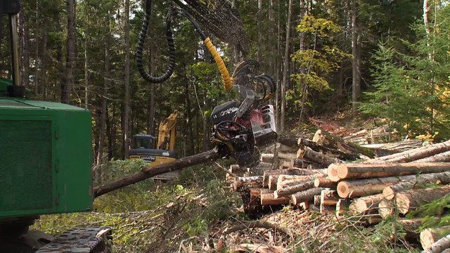 L’aide d’Ottawa de 1,2 milliard est bien accueillie dans l’industrie du bois d'œuvre