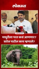 माधुरीला परत कसं आणणार- सतेज पाटील काय म्हणाले ?