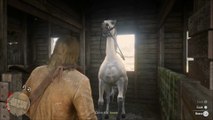 RDR 2: C3 # 33 - Horse Flesh for Dinner