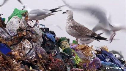 A Ginevra si cerca un accordo mondiale sull'emergenza della plastica