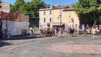 Montfrin : Cabestria de la Ganaderia Boutaud