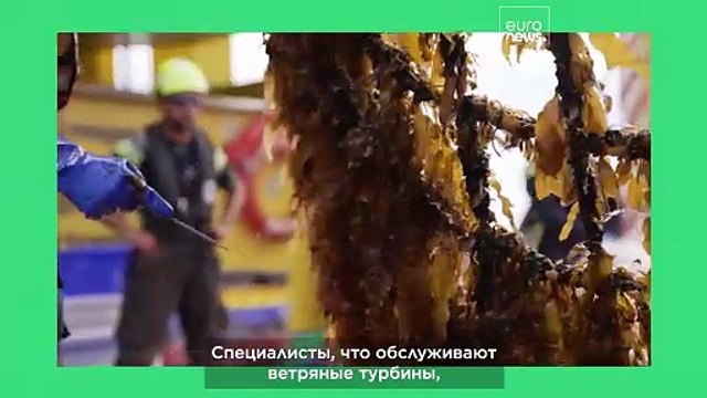 Океан возможностей: европейские учёные изучают промышленную синергию в открытом море