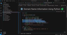 How to Get Domain Name Information Using Python