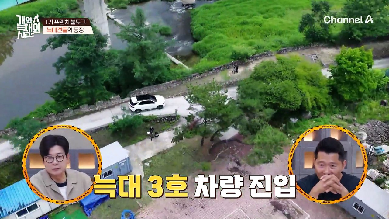 다른 강아지만 보면 짖는 나의 반려견! 그 이유는 무엇일까? '방어'를 위한 수단이라고?!