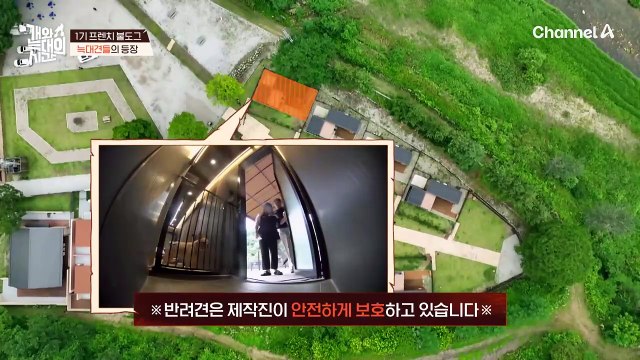 드디어 만난 프렌치 불도그 세 가족! 눈길이 가는 늑대 1호 보호자! 너무 똑같잖아요!