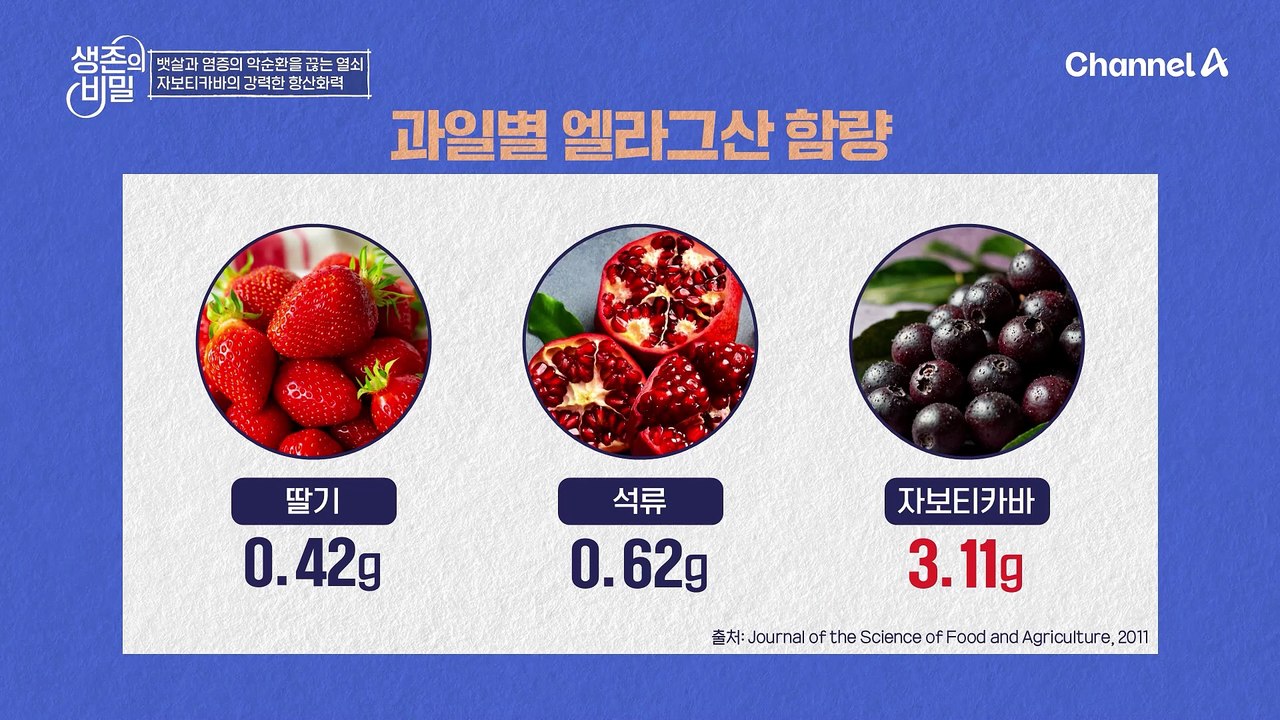 '석류'보다 강한 '자보티카바'의 놀라운 비밀! 10kg 감량하면서도 노화 걱정 없었...