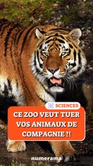 Un zoo au Danemark veut tuer vos animaux de compagnie ? 🐰🐔