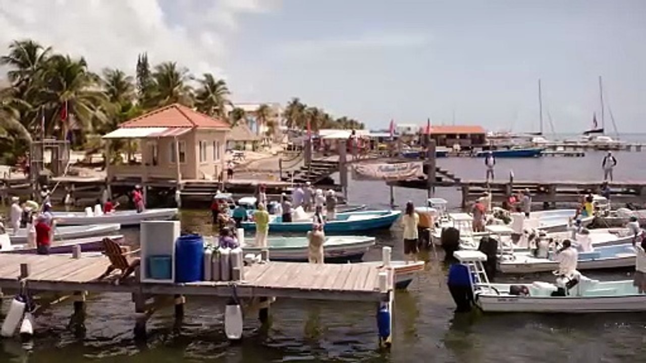 Looking Through Water - Official Trailer