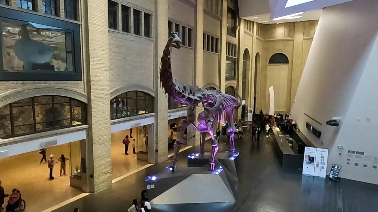 Canada: Toronto (musée Royal)