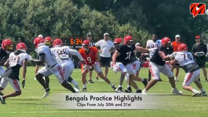 Cincinnati Bengals Training Camp Highlights July 30-31