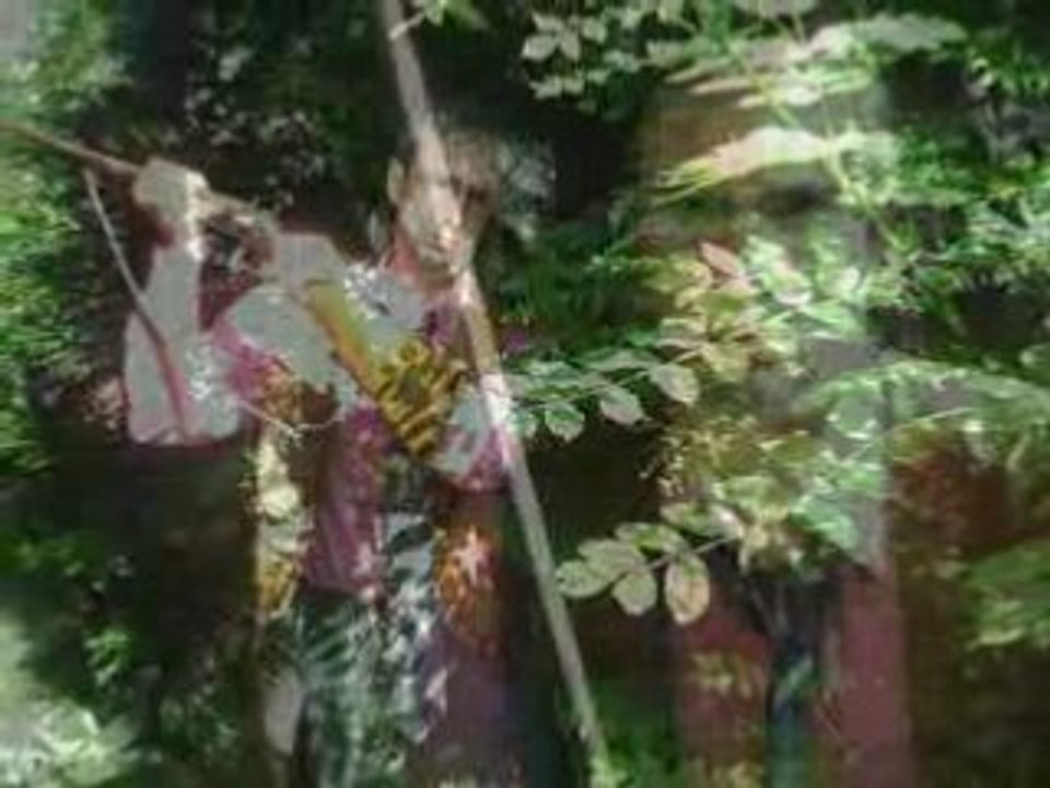 Bande annonce du vieux fusil 2
