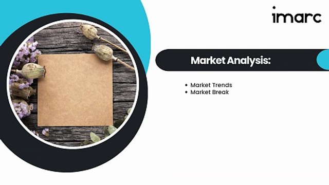 Detailed Project Report on Setting up Bagasse Based Kraft Paper Manufacturing Plant