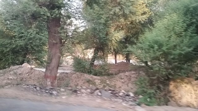 beautiful canal view/ canal view