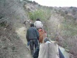 à mulet dans la montagne du Yunnan en Chine