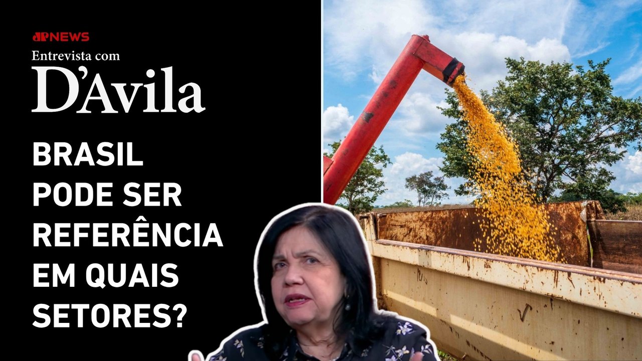 Indústria e agro: "temos muito para crescer", diz Mariangela Hungria | ENTREVISTA COM D'AVILA