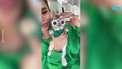 Twinning With Bunny That Lives the Pampered Life