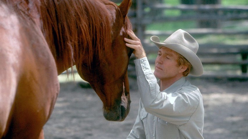 L'homme qui murmurait à l'oreille des chevaux