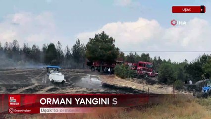 Uşak'ta ormanlık alana sıçrayan yangın söndürüldü