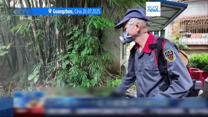 Cina: migliaia di casi di chikungunya, infezione virale trasmessa dalle zanzare