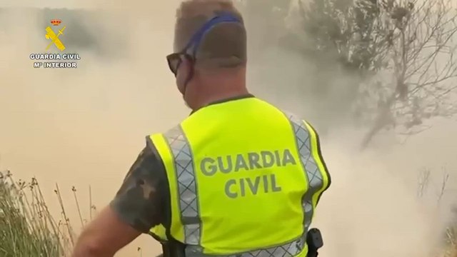La Guardia Civil desaloja 400 ovejas del corral de Larranzus, en Añorbe (Navarra) ante un incendio declarado cerca de la ermita de Santa María de Eunate.