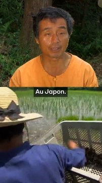 Ces canards vont ruiner les lobbies des pesticides !