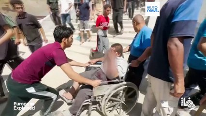 Why is Slovenia the only EU country to ban arms trade with Israel?