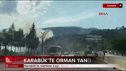 Ankara'da aç kalan ayı restorana indi