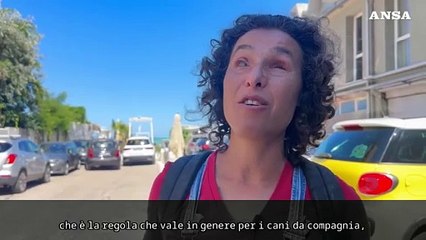 'Niente cani su mio taxi', la donna: "Sono rimasta spiazzata"