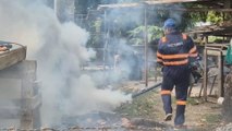 Aumentan los casos de dengue en La Pintada: Minsa refuerza vigilancia en Llano Grande