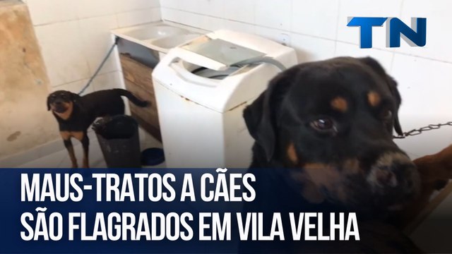 Maus-tratos a cães são flagrados em Vila Velha