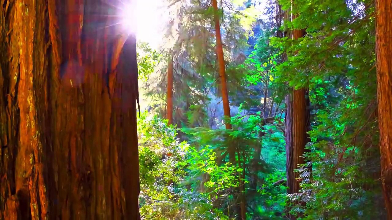 The Earth in Ultra Clarity 16K VIDEO ULTRA HD HDR - Epic Dolby Vision Compilation of Earth’s Beauty