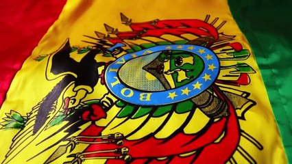 Las chinches: la primera plaga urbana