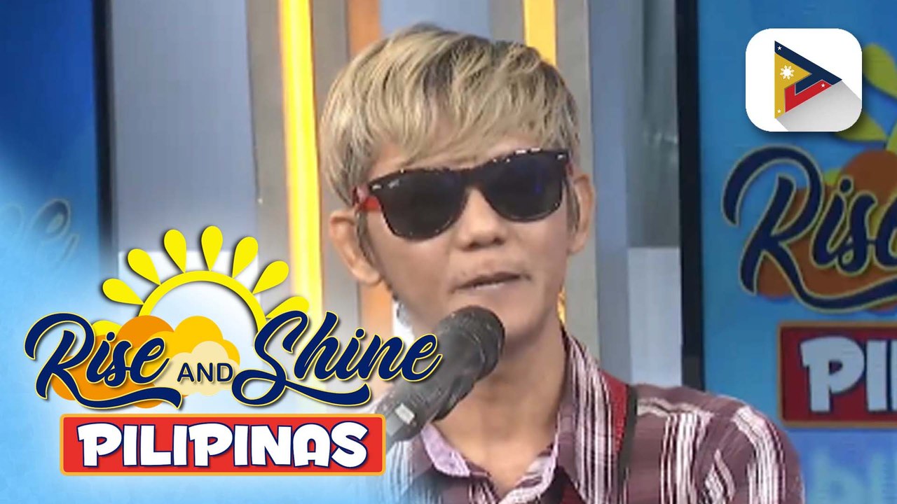 Wednesday Pet's Day | Cute and adorable na mga sugar glider, kilalanin!