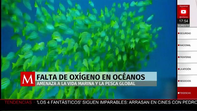 Expertos alertan que la falta de oxígeno en los océanos amenaza la vida marina y la pesca mundial