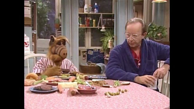ALF Staffel 3 Folge 10 Ein Hippie namens Willie #Deutsch #HD
