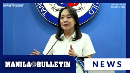 OVP ready if P903-M budget is slashed — Castelo