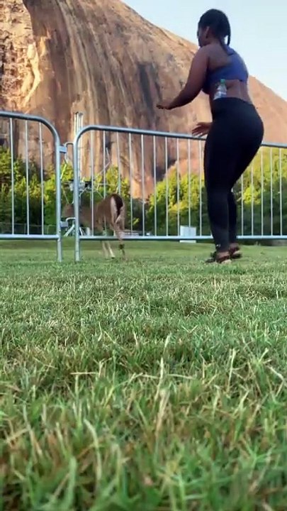 Elle sauve une biche mais pas du tout comme elle l'avait prévu