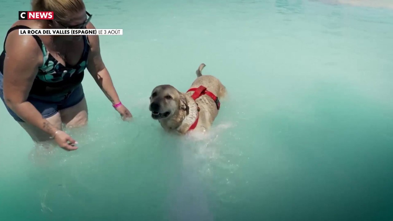 Espagne : un parc aquatique réservé aux chiens