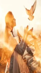 تمہیں کس نے کہا تھا یہ