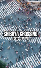 Shibuya Crossing !