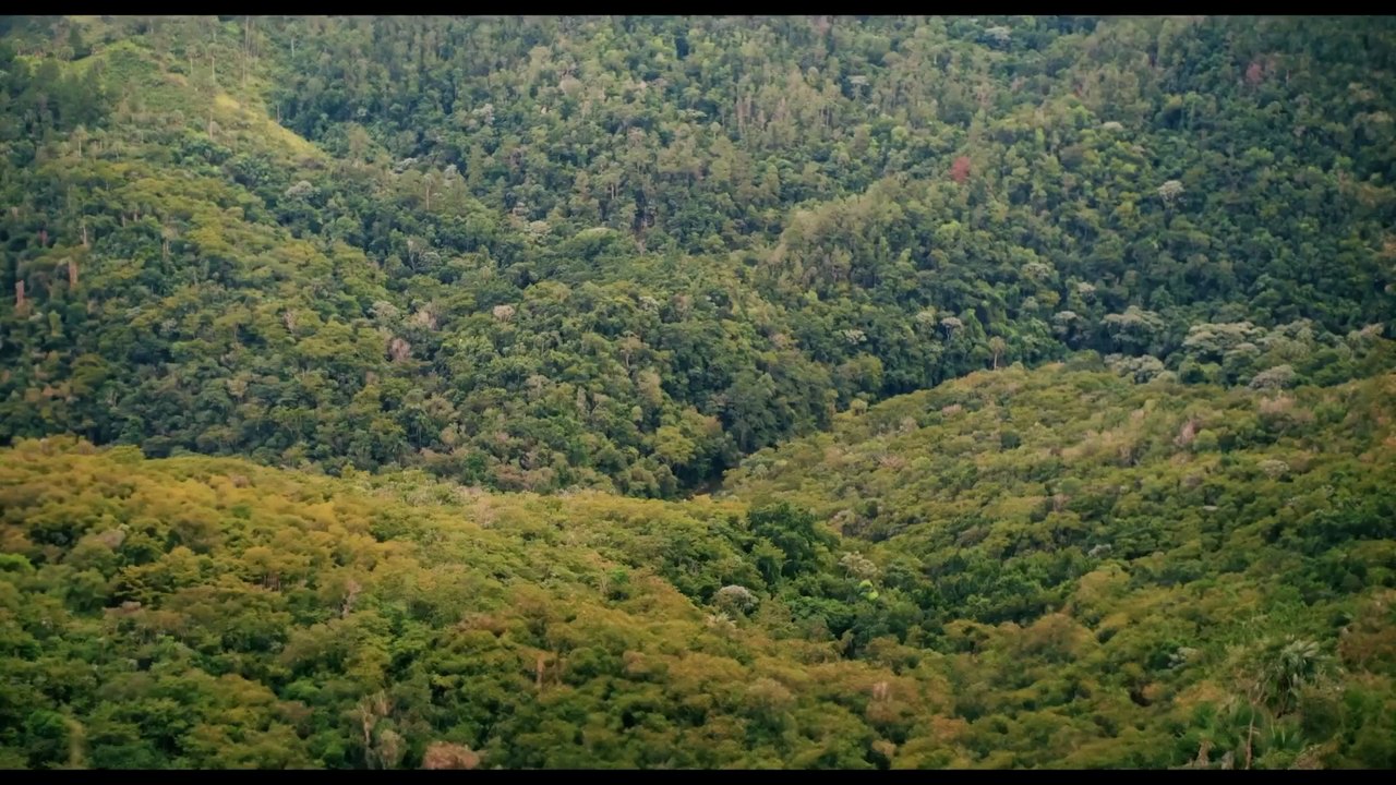 Bajo el Mismo Sol Trailer OmeU