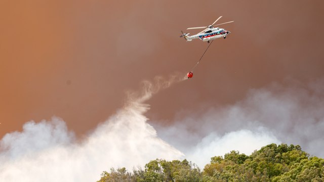 El incendio de Tarifa sigue activo y cientos de personas son desalojadas de hoteles y casas