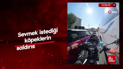 Eskişehir'de sevmek istediği köpeklerin saldırısına uğradı