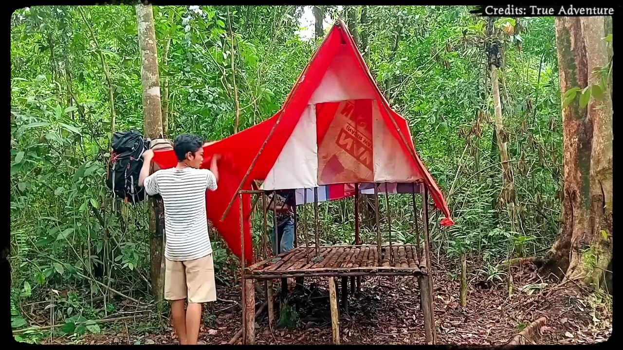 6 Camping Trips That Turned Into Nightmares—All Caught on Camera