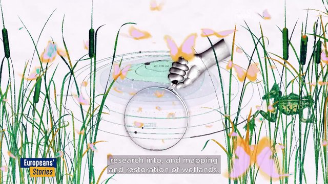 Renaturalisation of wetlands slows global warming and species decline