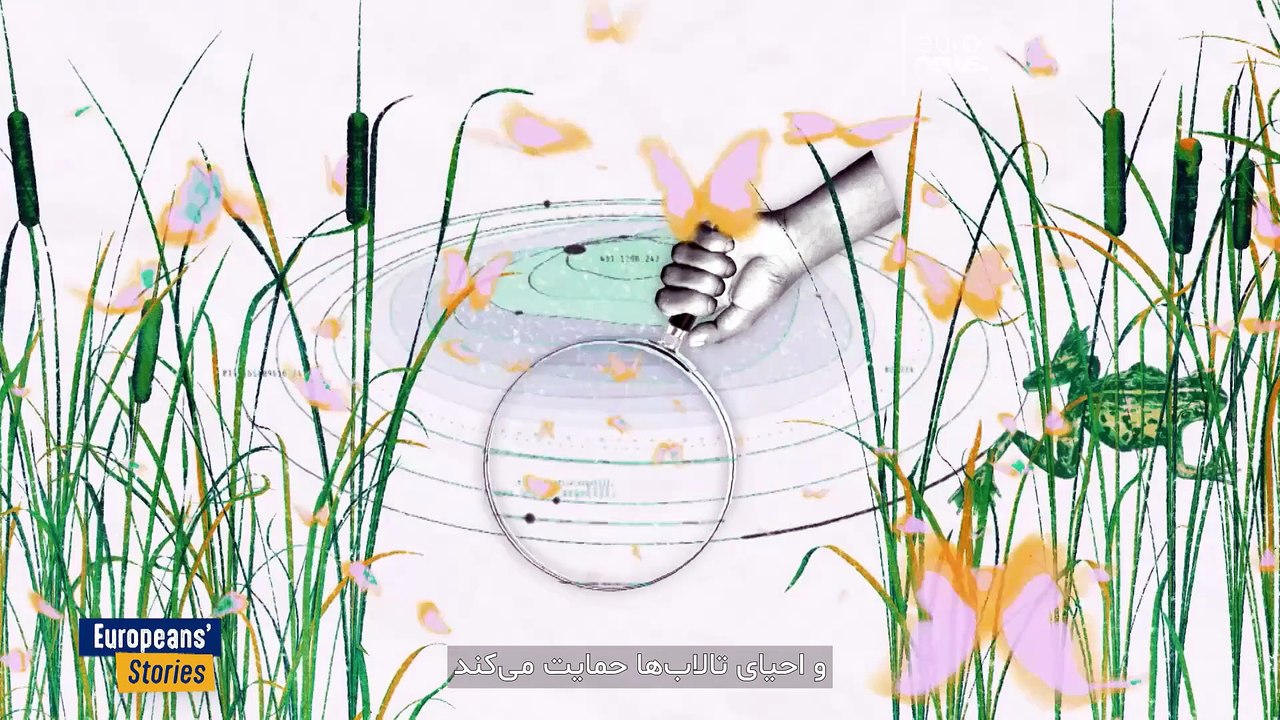 احیای طبیعی تالاب‌ها سرعت گرمایش زمین را می‌کاهد  و کاهش تنوع گونه‌های جانوری و گیاهی را کُند می‌کند
