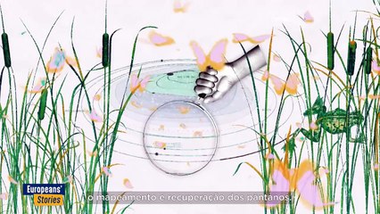 A renaturalização das zonas húmidas abranda o aquecimento global e o declínio das espécies