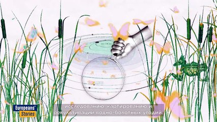 Восстановление водно-болотных угодий замедляет глобальное потепление и сокращение популяций