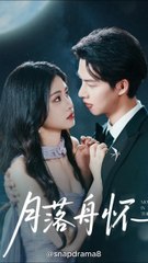 Shadow Knight's Love