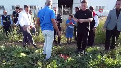 Erzincan’ın bereketli topraklarında üretilen karpuzun hasadı başladı